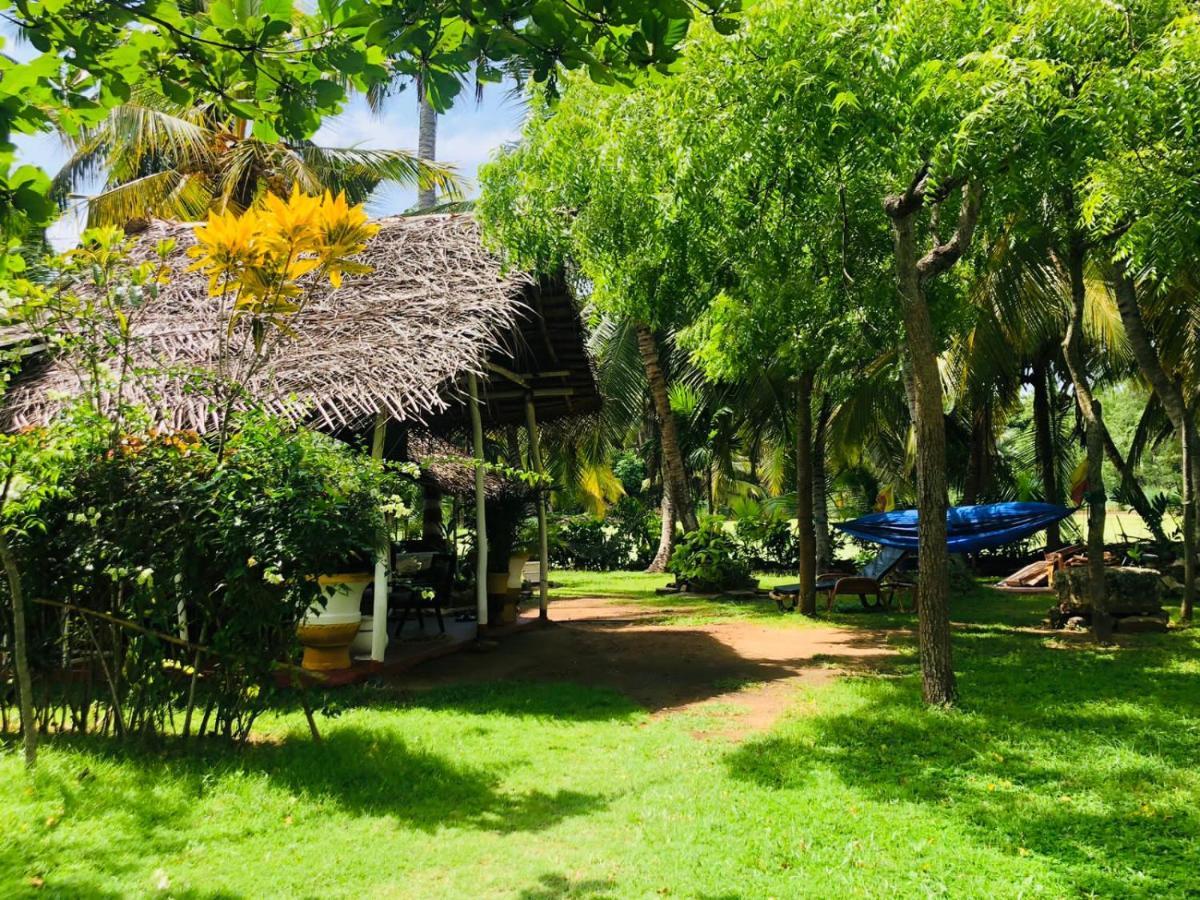Lake View Cabana Paradise & Villa Tangalle Exteriér fotografie