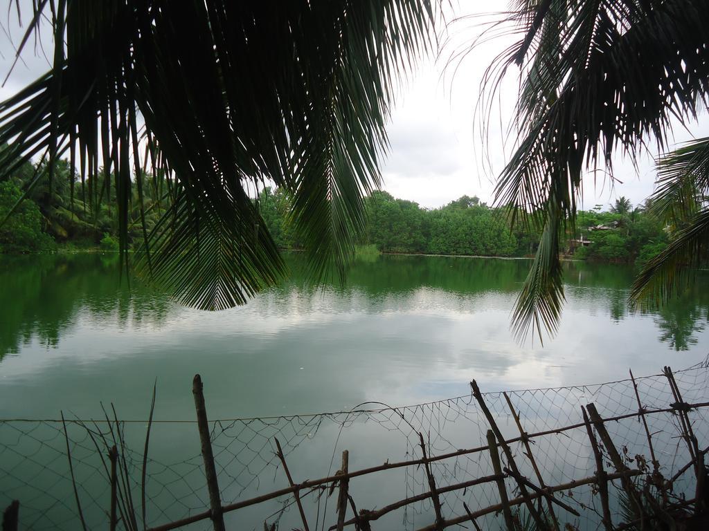 Lake View Cabana Paradise & Villa Tangalle Exteriér fotografie