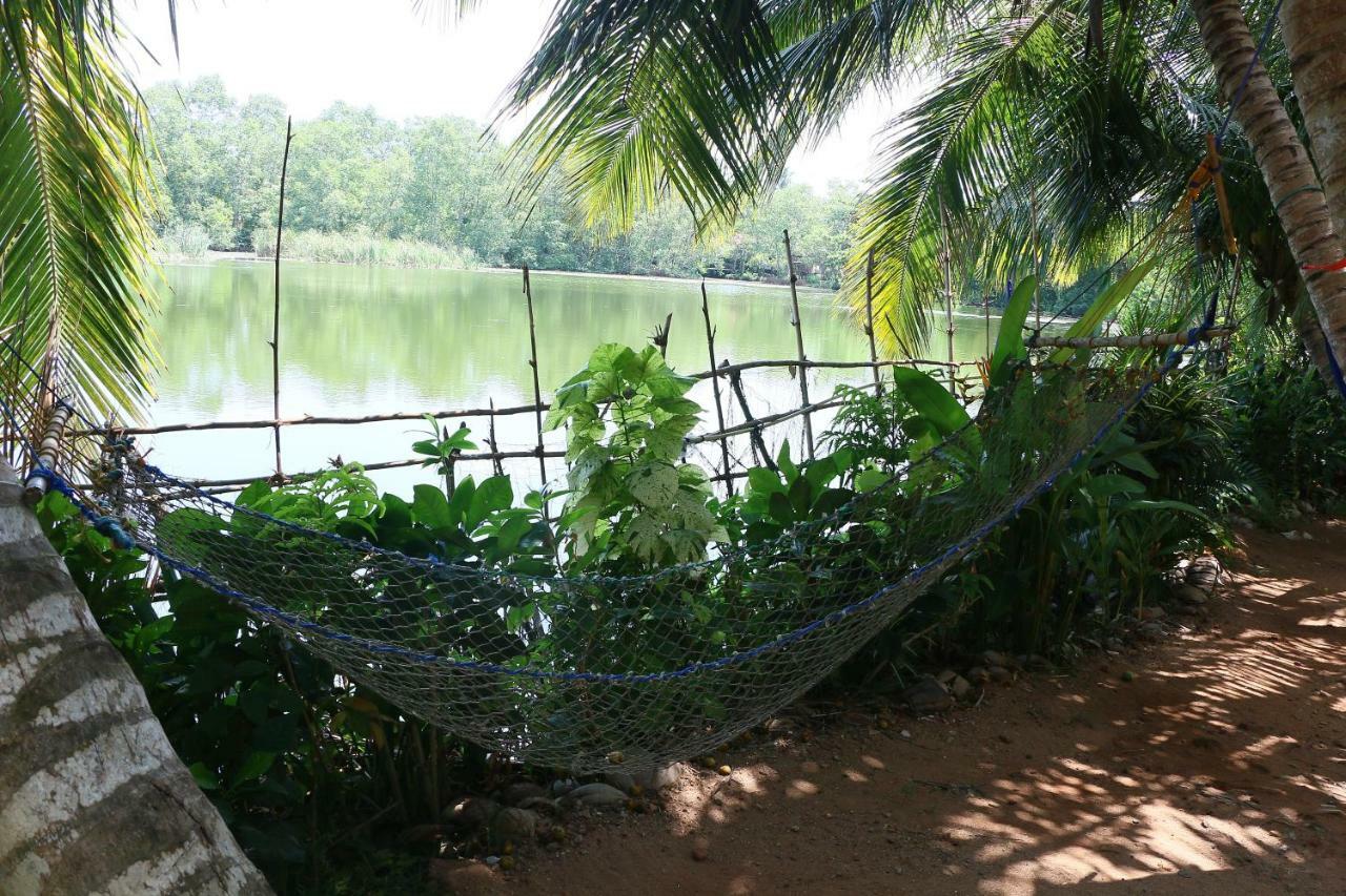 Lake View Cabana Paradise & Villa Tangalle Exteriér fotografie